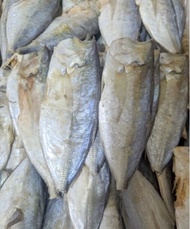 Ikan Asin Peda Buntung Kering