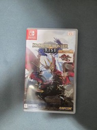 nintendo switch monster hunter rise