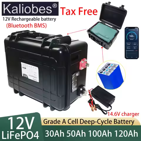 12V 30Ah 50Ah 100Ah 120Ah LiFePO4 Battery 1440Wh Bluetooth 100A BMS Fish Boat Battery 8000 Cycles IP