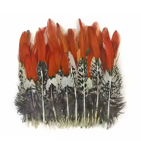 Natural Lady Amherst Pheasant feathers Feathers For Crafts 5-30CM 2-12 inch Jewelry Making Accessori