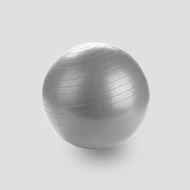 [SG Stock] BUL Gym Ball - 55cm - Yoga Ball for Workout Pregnancy &amp; Stability - Swiss Balance Ball Fitness Ball