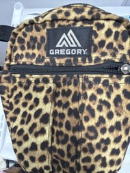 Gregory斜孭袋￼