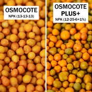 Baja Osmocote (Regular &amp; PLUS+) Slow Release Fertilizer (Originally from Thailand) Plant Food and Booster