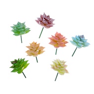 Succulent Plant Buddha Core Lotus Plant Home Decoration Ornament