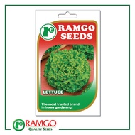 RPO Lettuce Lollo Bionda Seeds
