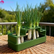CURTESY Chives Seedling Tray, Ventilated Lettuce Sprout Planting Pot, Garden Supplies Plastic Celery