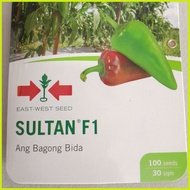 ◲ ● SULTAN F1 HYBRID SWEET PEPPER / BELL PEPPER / ATSAL (100 SEEDS) by EAST WEST SEED