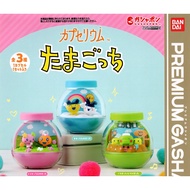 A Full Set Of 3 Types Tama Keji Bottle Life Scenes Capsule Toys Landscaping Electronic Pets Chicken 