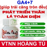 LEAF FERTILIZER GA4+7 - stimulates balanced and uniform growth (GA4+GA7) reduces fruit deformities -