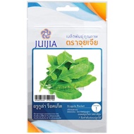Arugula Rocket Seeds