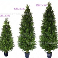 Fake Ornaments Hotel Decoration Tree Floor Pine Tree Cypress Floor Christmas Tree Potted Pine Cypres