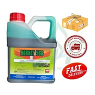 HORNET 566 4L UNTUK RUMPAI / GLUFOSINATE AMMONIUM 5.66%