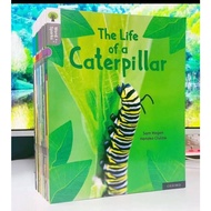 level 1-12 OXFORD READING TREE WORD SPARKS