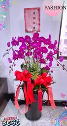 新北市/新店區/中和區/永和區/花店【gtco751】開幕祝賀高級蝴蝶蘭盆景(8株.A級)~歐式綠坊花苑