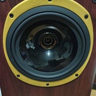 天朗628 8吋同軸喇叭9成9新靓人声劲底音...