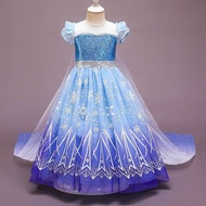 Frozen Anna Elsa Princess Costume Import