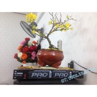 BỘ LỌC ÂM THANH EQUALIZER YAMAHA CHUYÊN NGHIỆP