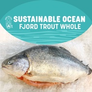 Dish The Fish Whole Norwegian Fjord Sustainable Ocean Trout (About 4.5Kg)