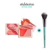 [เซ็ต2ชิ้น] BRUSHTOO แปรงปัดแก้ม + SHADETOO 2-COLOR BLUSH ON บลัชออนแบบฝุ่น เนื้อนุ่ม เบลอผิว