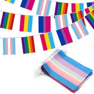 20PCS/String 6/10 Meters Rainbow String Flag Strings Colorful Peace Flags Banner LGBT Pride Flags Ri