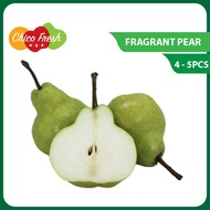 Chico Fresh Fragrant Pear (4-5 PCS) Buah Pir Manis Fresh Fruits Buah Fruit Pear 水果 香梨
