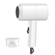 IONIC PROFESSIONAL HAIR DRYER