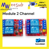Relay Module 2 Channel 12V 24V