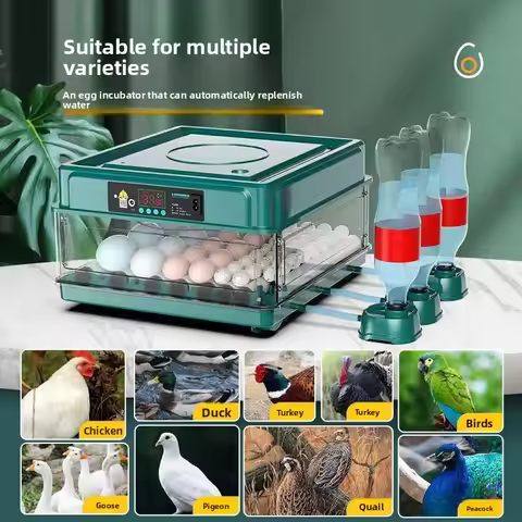 New Automatic Small Household Rutin Chicken Chicken Egg Incubator Incubator Farm Animal Supplies