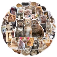 50 ชิ้น Surprise น่ารัก Cat Meme สติกเกอร์แมวสําหรับโทรศัพท์แล็ปท็อปกระเป๋าเดินทางโน้ตบุ๊คสเก็ตบอร์ด
