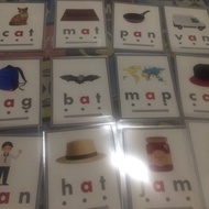 Laminated Flashcards (CVC)