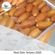 Kurma Ruthob Libya 1kg, Kurma Setengah Matang rasa lezat, ember 800gr