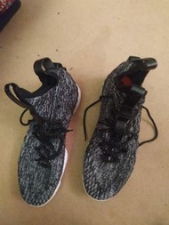 Nike LeBron 15 Ashes us 11