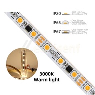 Ws2811 5050 một màu màu trắng ấm 3000K 6000K Led Pixel dải ánh sáng DC 12V 30/60 LEDs/M địa chỉ & lậ