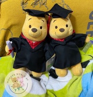 🇭🇰香港迪士尼畢業維尼/winnie the pooh公仔