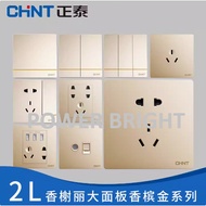CHINT NEW2L SERIES SWITCHES (GOLD) [PUSH 1G,2G ,13A,15A,20A ,CAT6,TEL]
