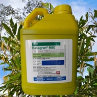 [ORIGINAL] 5L BASAGRAN M60 BASF HERBICIDE 37.0 + 6.2% RACUN RUMPAI RUMPUT/ KELADI AGAS SESUAI UTK ME