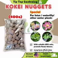 KOKEI NUGGET FERTILIZER FOR LOTUS & WATER LILY ( 400 g ) BAJA POKOK TUMBUHAN AIR