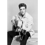 Elvis Presley Rock and Roll Music Poster Photo Picture In The Room Wall Decoration Band