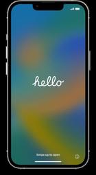 稀有US$40購於美國APPLE PARK STORE實體店hello script t恤 15 pro果粉