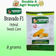 ◎ ▜ Bravado F1 Hybrid Sweet Corn Pack - Condor Quality Seeds