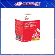 【HEALTH LANE Pharmacy】Bestseller  GKB Lactobacillus Plantarum Reduce fat, improve gut health, and bo