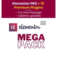 Elementor Pro + 10 Premium Plugins for Elementor (WordPress Website Builder)