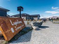 Lupin Faves Tekapo