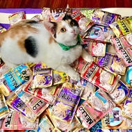 [70gr package] Nekko Adult Pate for large cats 70gr pack