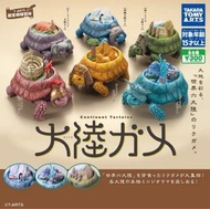 全新日本扭蛋 烏龜 陸龜大陸 羅馬