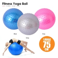 ALX Gym Fitness Ball Yoga Exercise Ball (75cm)
