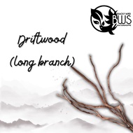 Driftwood long branches for aquarium Driftwood for aquarium Driftwood long branches for aquascaping 
