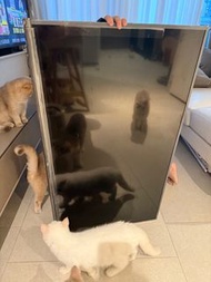 TCL 43”電視