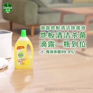 正品滴露消毒液家用消毒殺菌室內除蟎衣物寵物家居地板清潔劑洗衣機清潔劑 衣服消毒液 洗衣機消毒液