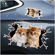 Cat in The Crack Sticker, 3D Cat Universal Car 3D Cat Stickers, Decals Animal